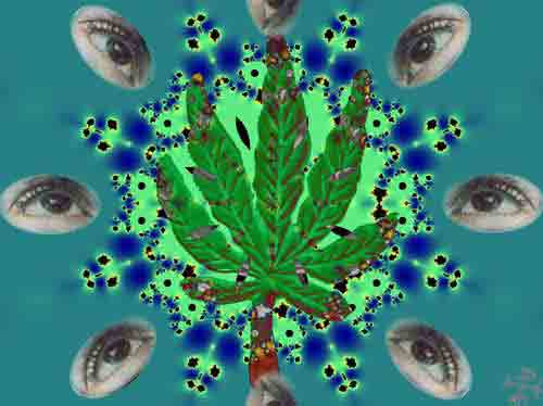 D&Iacute;A MUNDIAL CONTRA LAS DROGAS